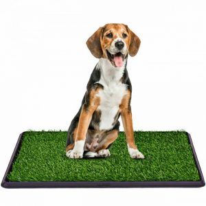 Pet Puppy Potty Training Pad Artificial Grass Mat Outdoor Indoor